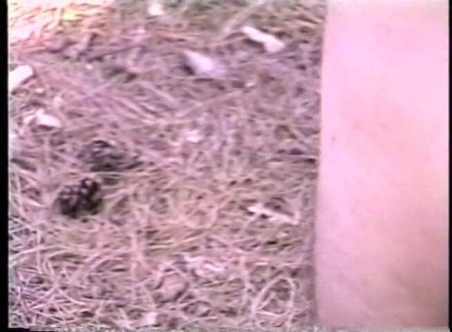 Chicks with Dix: Shemale chick blows big cock and gets plowed outdoors