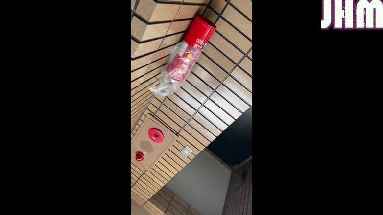 Japanese Hentai Matings: Tentazioni quotidiane con il vicino della porta accanto. - b