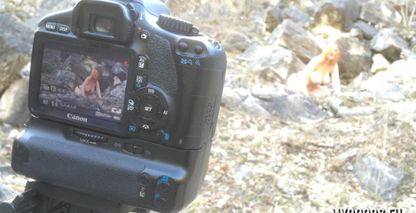 My Boobs: Kompilace zákulisí Alexsis Faye