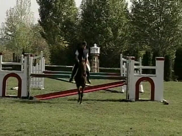 Falcon International: Wild Ride 3