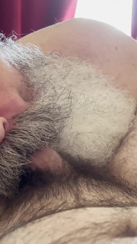 Grande papai barbudo chupa pau filhote