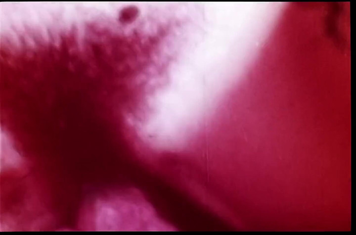Close Encounter Vintage: Vintage porn retro erotic theatre - dead heat