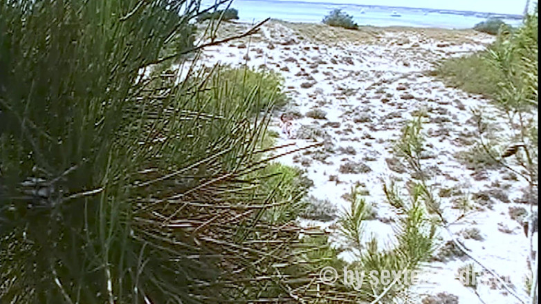 Sextermedia by Pete: MILF Telanjang Seksi Di Pantai Nudist