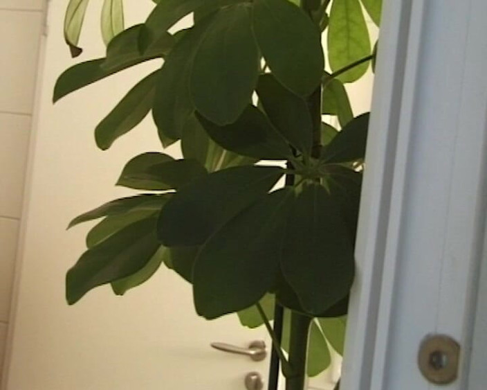 BB Video - Vintage Story: Deutsches amateur-teen, große natürliche titten, brünette gefickt # 1