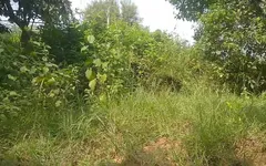 Indian Young Boy Sex in Public Place