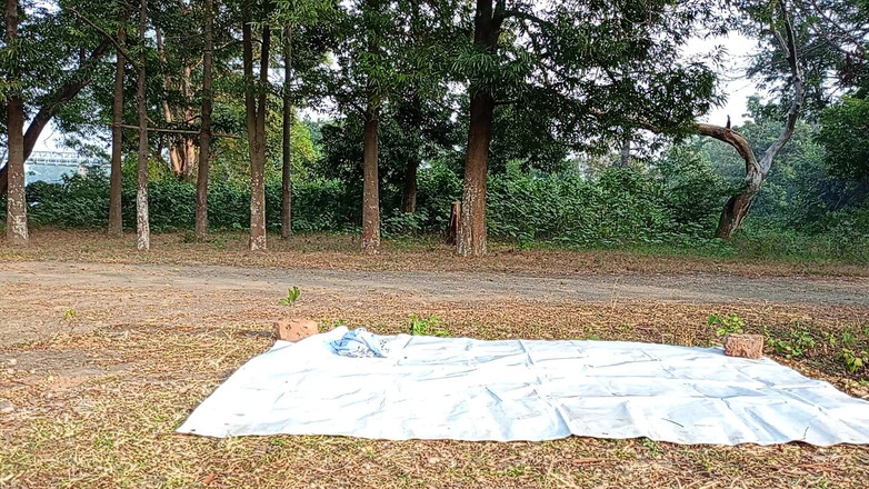 LinearOrnament35: 成功のために運動をしましょう