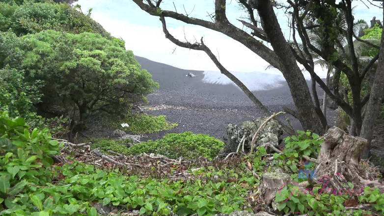 ATK Fans (Girlfriends): Virtual vacation in Hawaii with Adrian Maya part 5
