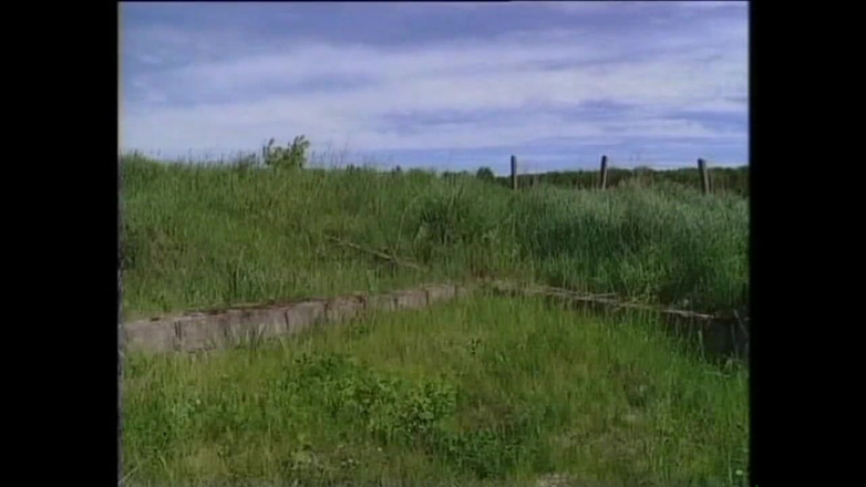 Cinema X: A Series of 90's Fucks