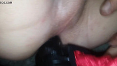 Harley Paradise: Getting Pegged