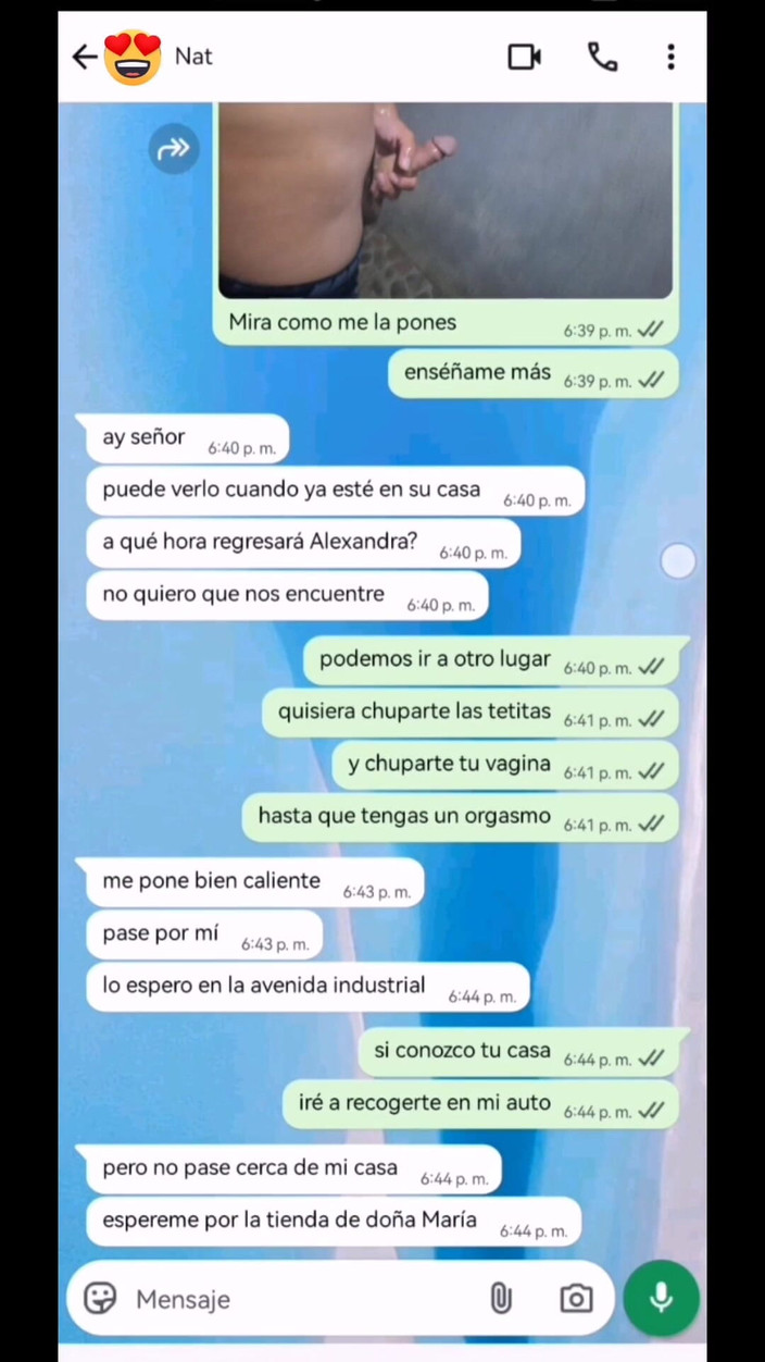 Natasha Caseros: 義理の娘の友人とのホットチャット