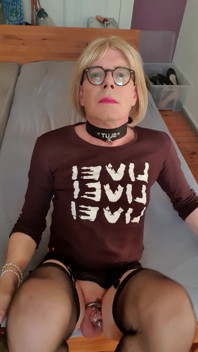 Presentación De Transexual Puta