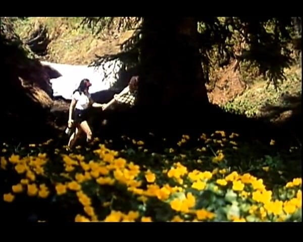 GERMAN PORN CLASSICS: Heissbluetiges Verlangen - Herzog Video