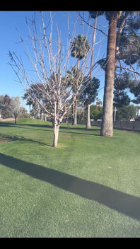 Got on the Green From About 160 Using My 5 Iron Though I Rather Have 8 Iron in My Mouth