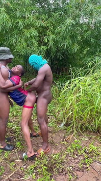 Sex in einem sumpfigen fluss, der von wilden büschen abgerundet wird