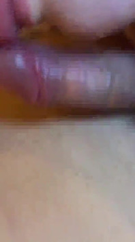 Asian Angel 20942