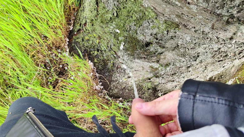 Bayer911: 파이 바이 더 오크