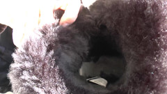 Lady Victoria Valente: Cizme extrem de mirositoare din picioare de blană! În Boots Smell...