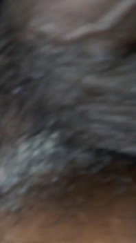 Tamil10inches BBC Xhamster Live Show Worth for Watching This Big Dick Lord