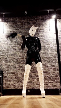 Dominatrix Unicorn