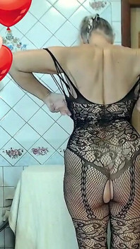 ルケリヤの古い体に透明な黒いメッシュ