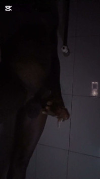 흑인 대물 자지에게 따먹히는 거유 밀프