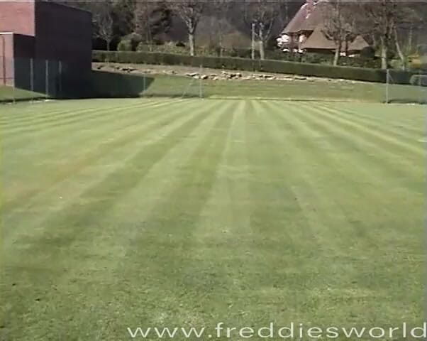 Freddies World: 자지를 따먹는 핫한 넷볼 선수