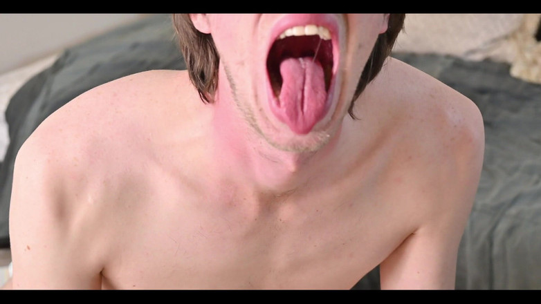 ElementX1018: Ursos gomosos sabem quando lutar