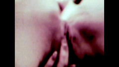 The Unforgettable: The Wild Colt