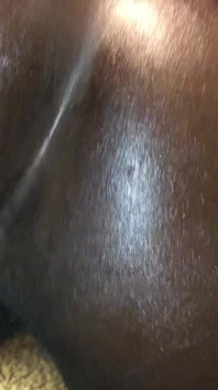 Black Booty Wants BBC