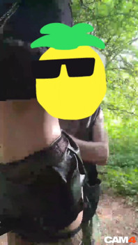Angeboten für liebkosungen und geritten von überall. Kleines necken im Wald.