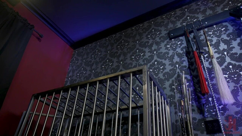 Kink TS: Freundin bestrafung: TS Foxxy hämmert verlierer-freund Mike Paniks arsch