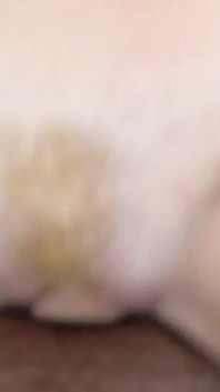 Người giữ trẻ Samantha Rone có được những gì cô ấy luôn muốn