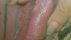 Honey 69: Pussy and Anal Masturbation.