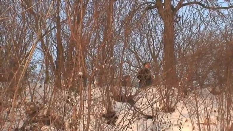East Public: Gli esibizionisti fanno sesso nella neve davanti ai passanti