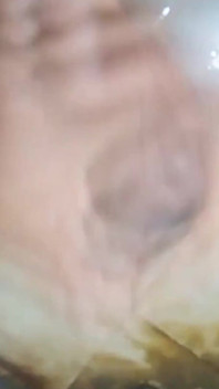 Sozinha em casa