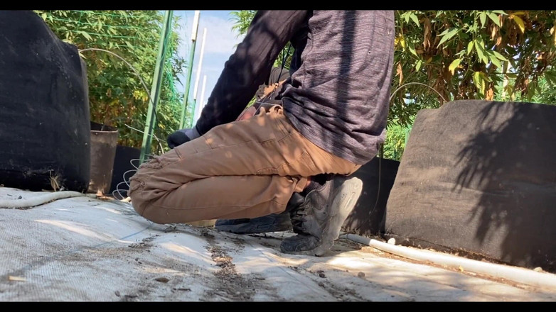 Xooshua (xblue18): Tôi đang nghĩ về âm đạo của bạn tôi