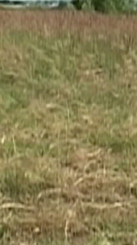 Buttholes Addicts Scene-3 Muscular Couple Enjoys Fucking in the Countryside.