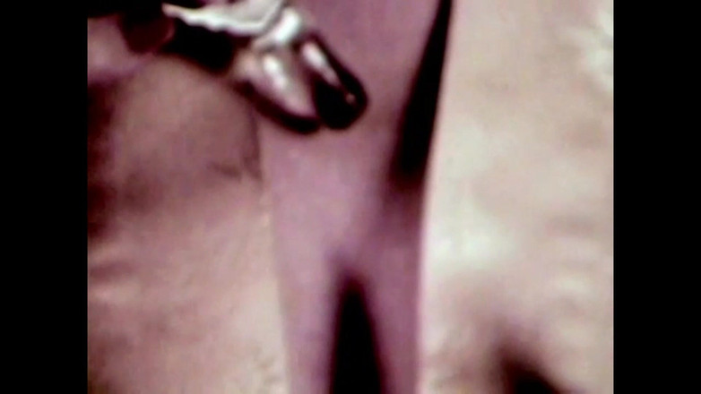 The Unforgettable: Das Wilde Hengstfohlen