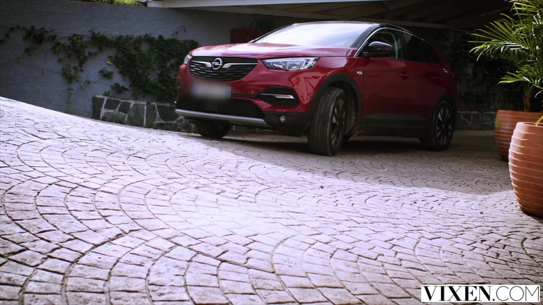 Vixen: Vixen Det finns inga regler på semester