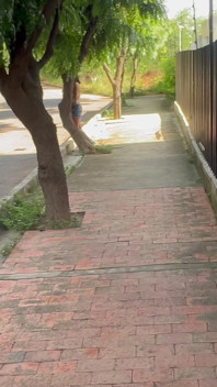 Casual Sex with a Stranger, I Invite a Young Latina to My Apartment to Fuck Her