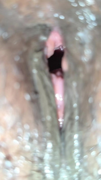 Close up Pussy