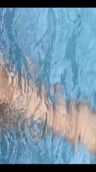 Refreshing Myself on Pool