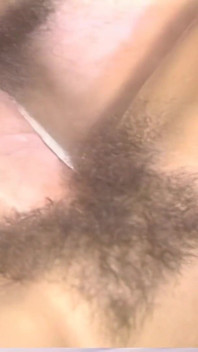 O Rei do Pornô