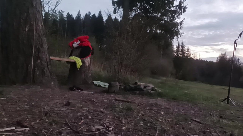 kickerscooter: Naked in the Meadow