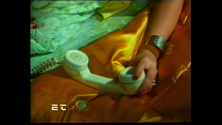 Rocco Siffredi and Friends: Hotel erotyczny