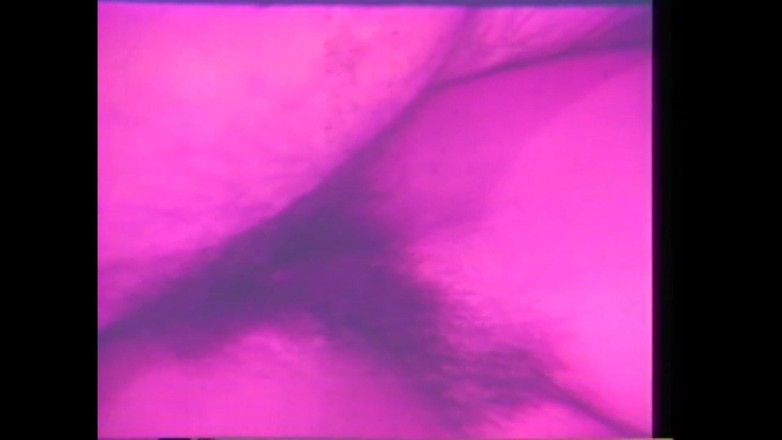 Vintage Megastore Full hd: 一群