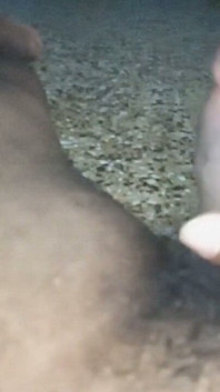 키스하는 입술로 핥는 인도 힌디어 마누라