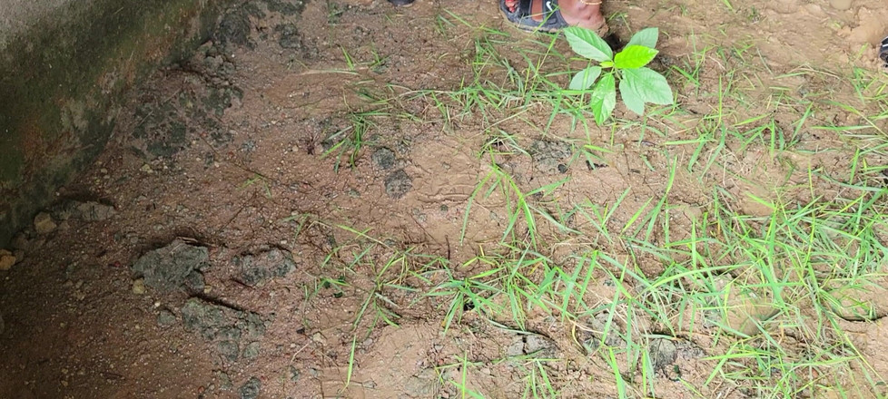Creamyshuga: कम्प्लीट बिल्डिंग में अपनी गर्लफ्रेंड को चोदना
