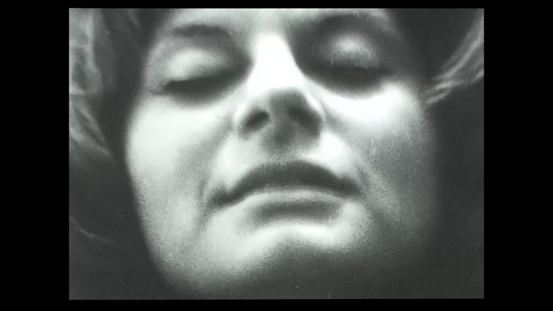 Close Encounter Vintage: Vintage porno retro erotické divadlo - návštěvník