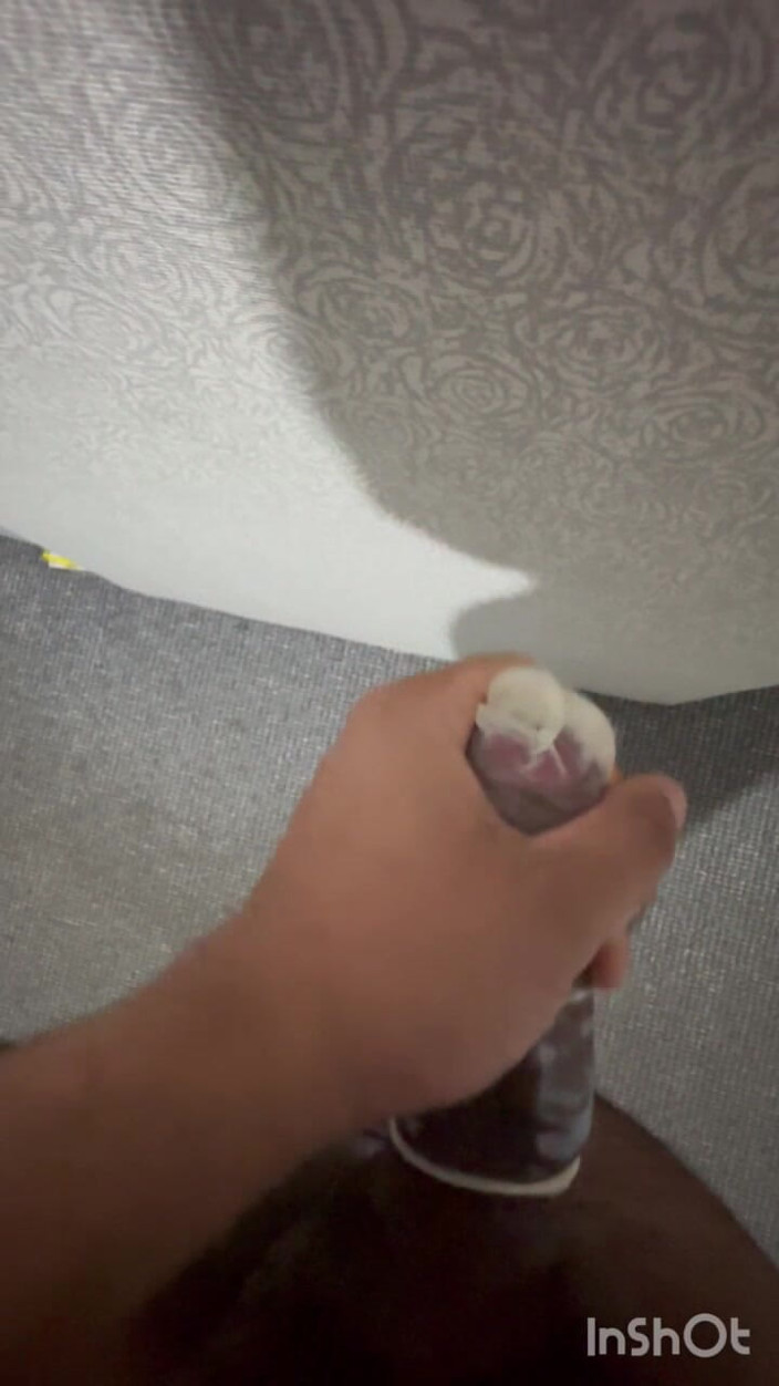 Dick dank: Cậu bé thủ dâm trong bao cao su